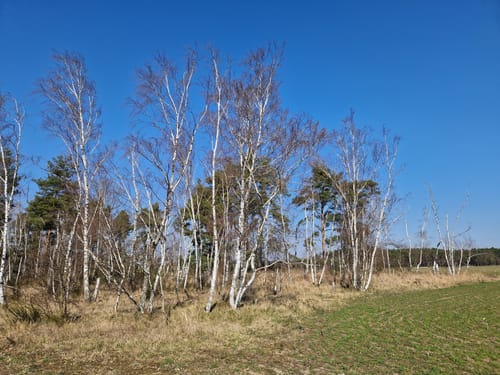 Kleine Runde in Frauenhain