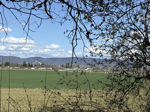 Dossenwald Rundweg Nr. 6