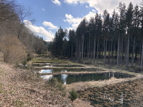 Rund um Kopp
