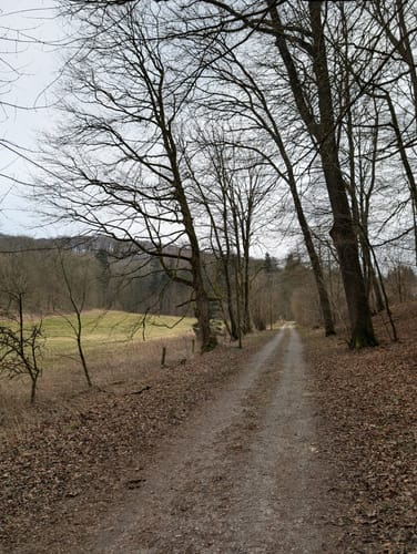 Walderlebnis-Pfad - Naturerbe Wanderwelt Altenbeken