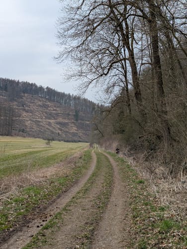 Walderlebnis-Pfad - Naturerbe Wanderwelt Altenbeken