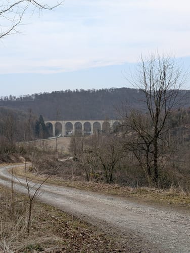 Walderlebnis-Pfad - Naturerbe Wanderwelt Altenbeken