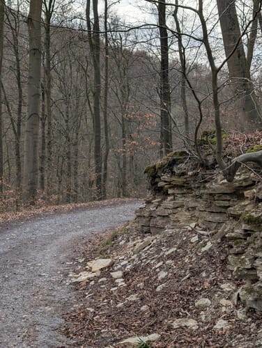 Walderlebnis-Pfad - Naturerbe Wanderwelt Altenbeken