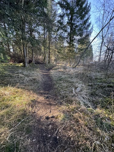 Mandichosee Rundweg