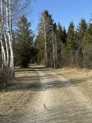 Mandichosee Rundweg