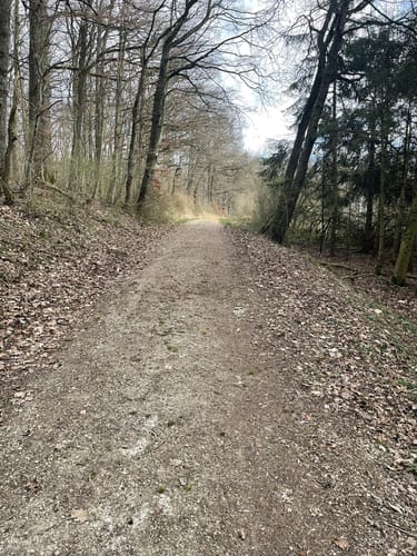 Von Mötsch nach Hüttingen an der Kyll