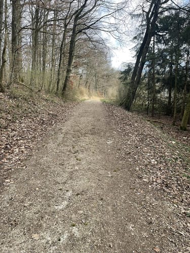 Von Mötsch nach Hüttingen an der Kyll