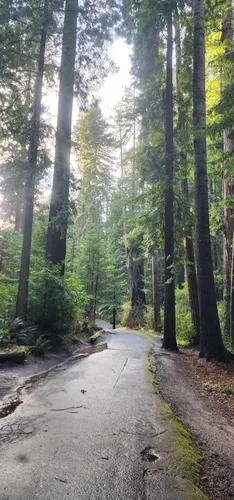 Best walking trails in Eureka | AllTrails