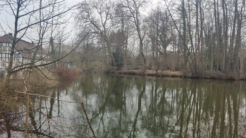 Halle: A11 Paterpatt