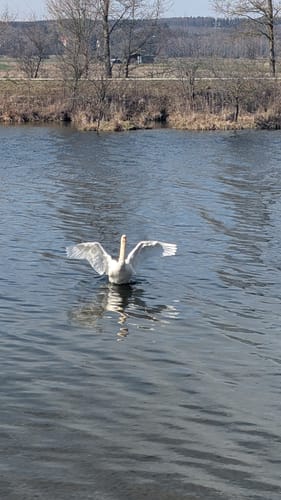 Bobingen - Stausee - Inningen
