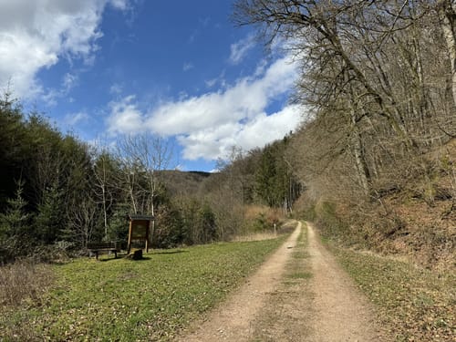 Wißmannsdorf (Naturpark Südeifel Wanderweg Nr. 22)