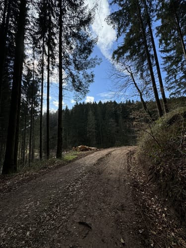 Wißmannsdorf (Naturpark Südeifel Wanderweg Nr. 22)