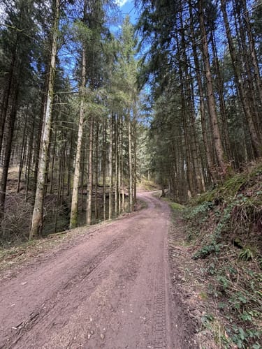 Wißmannsdorf (Naturpark Südeifel Wanderweg Nr. 22)