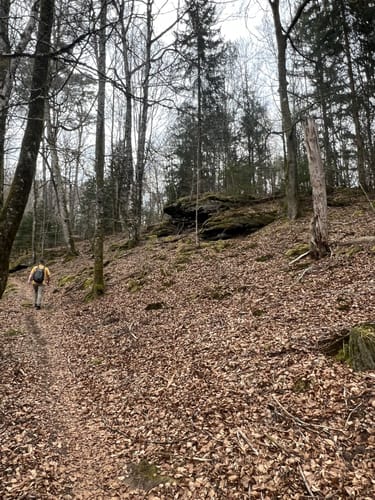 Lemberger Flößertour (Premiumwanderweg)
