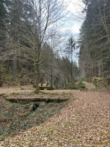 Lemberger Flößertour (Premiumwanderweg)
