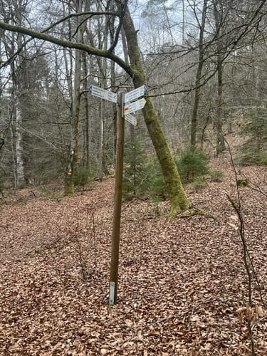 Lemberger Flößertour (Premiumwanderweg)