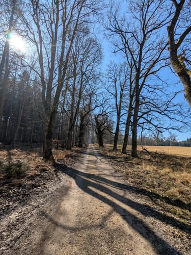 Durch den Wildpark Josefslust und um die Krauchenwieser Seen
