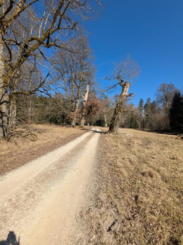 Durch den Wildpark Josefslust und um die Krauchenwieser Seen