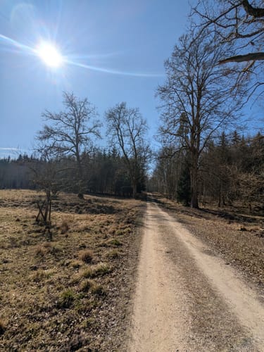Durch den Wildpark Josefslust und um die Krauchenwieser Seen