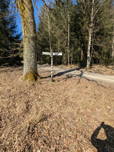 Durch den Wildpark Josefslust und um die Krauchenwieser Seen