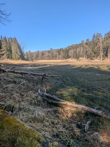 Durch den Wildpark Josefslust und um die Krauchenwieser Seen