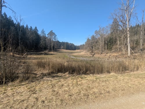 Durch den Wildpark Josefslust und um die Krauchenwieser Seen