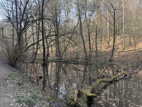 Eltenweg
