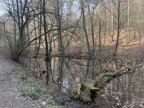 Eltenweg