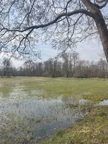 Rundwanderung nach Lehde