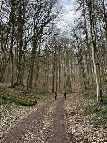 Rundwanderweg Lüxem