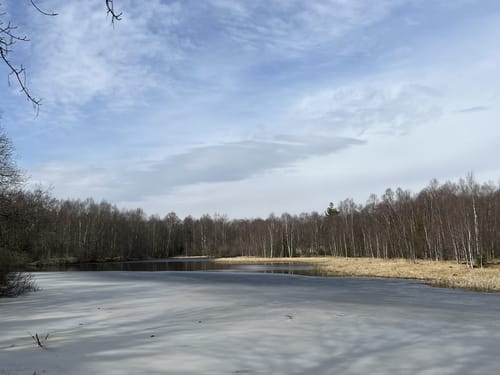 Ums Rote Moor