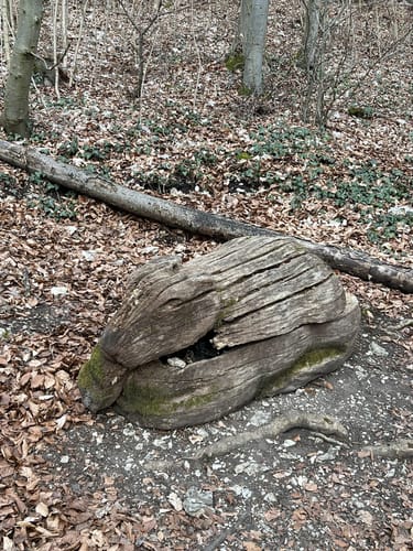 Giechburg - St.Pankratius Rundwanderung