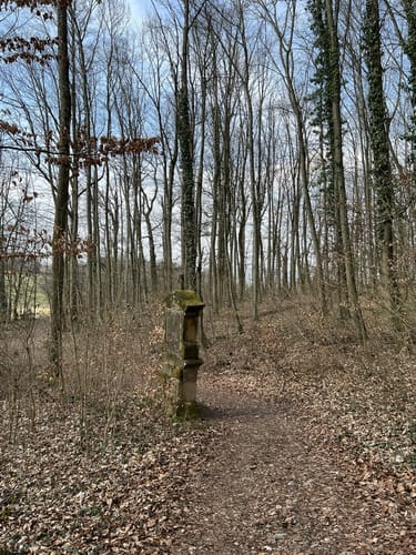 Giechburg - St.Pankratius Rundwanderung