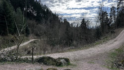 Fessenbach Ortenau - Hohes Horn Offenburg