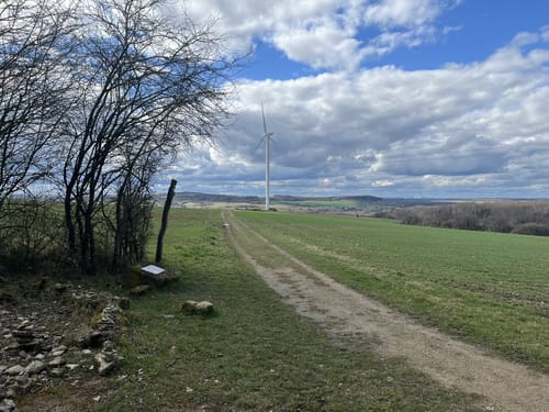Beruser Tafeltour (Premiumwanderweg)