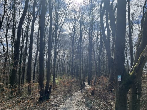 Beruser Tafeltour (Premiumwanderweg)