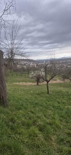 Rund um das Landschaftsschutzgebiet Esslingen