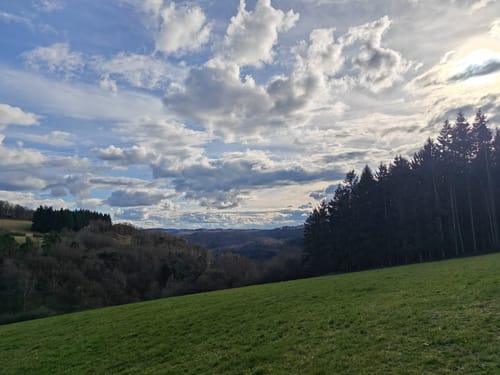 Wald & Flur (Pittersdorf)