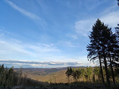 Wald & Flur (Pittersdorf)