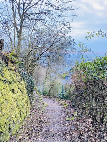 Panoramaweg (Gelnhausen)