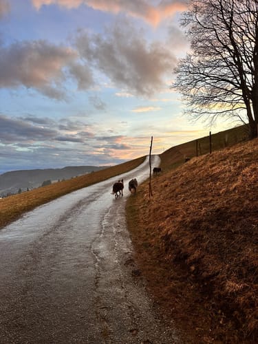 Martin Heidegger Rundweg