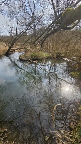 Um den Haunesee