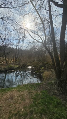 Um den Haunesee