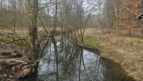 Um den Haunesee