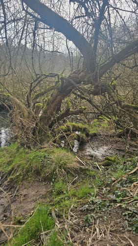 Um den Haunesee