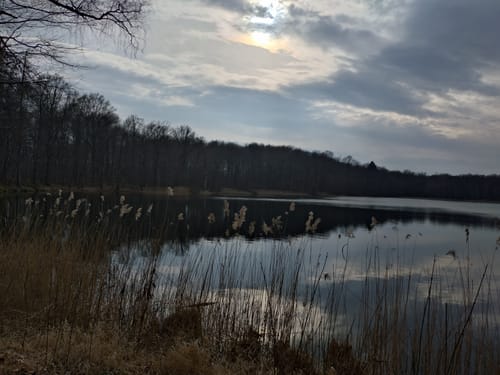 Priorteich Bad Sachsa