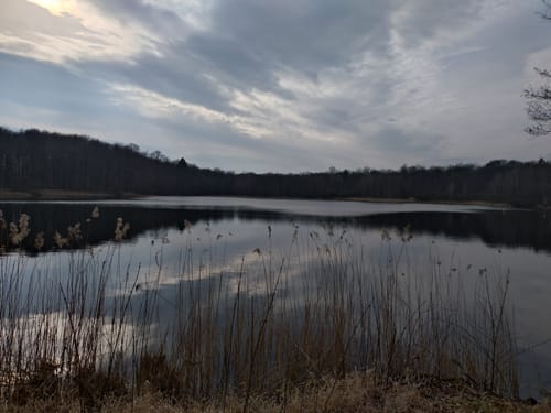 Priorteich Bad Sachsa