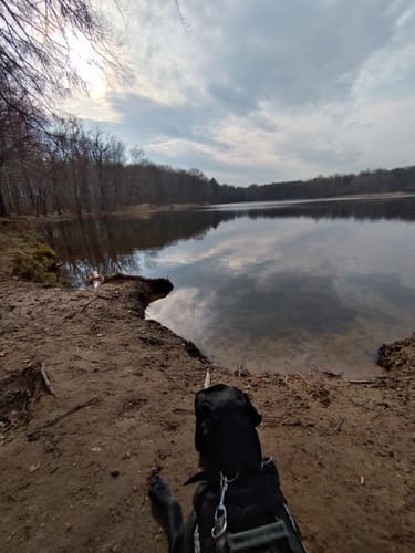 Priorteich Bad Sachsa
