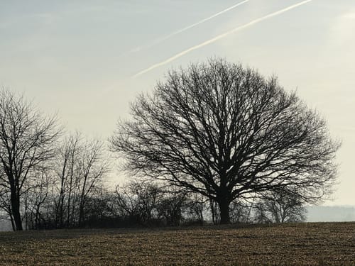 Von Binsfeld entlang der Militärbasis
