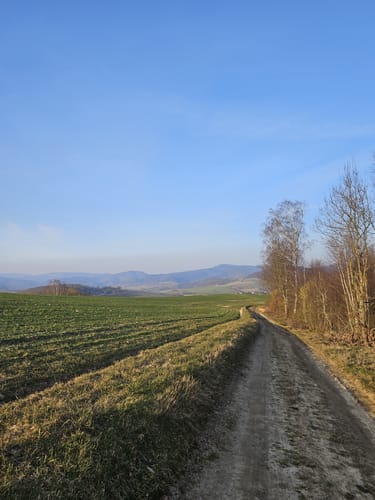 Um den Grasberg